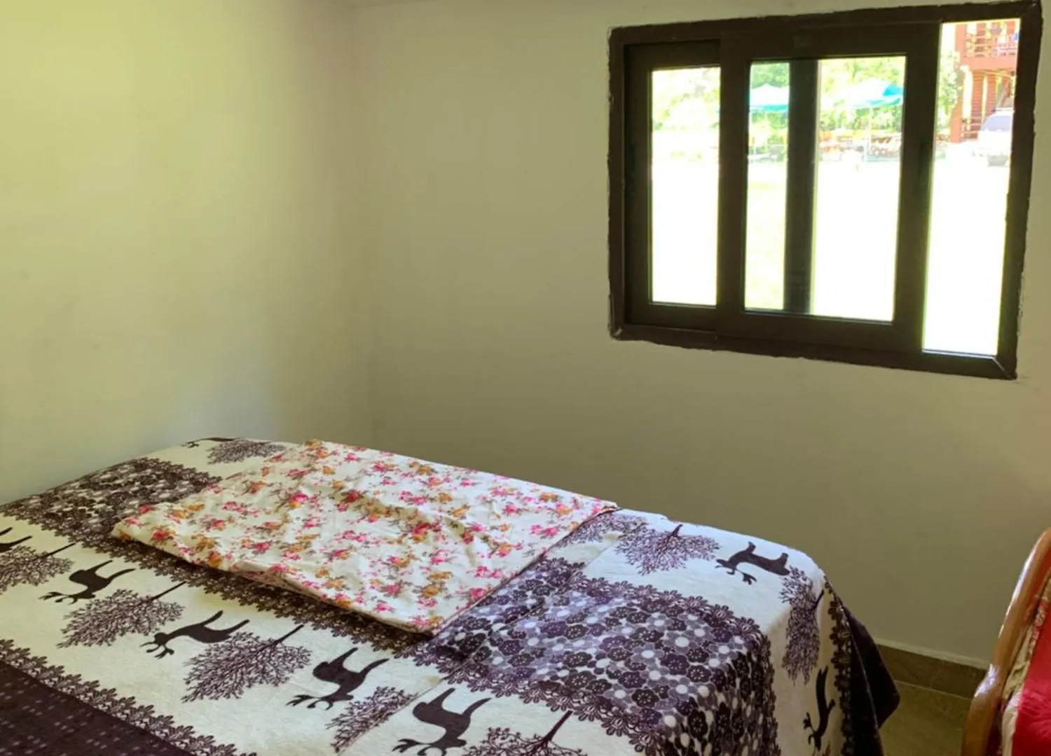 Koceku Guest House Grunas 0*,  Albania